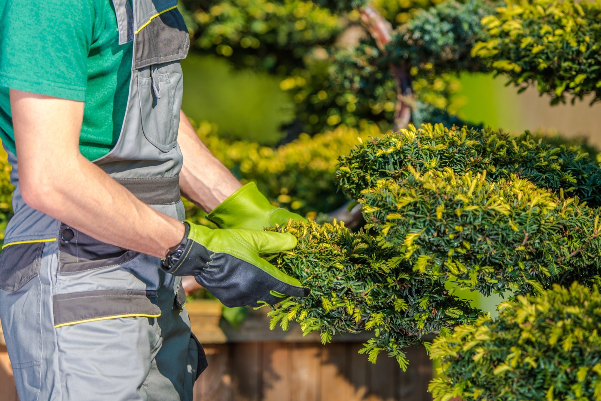 outdoor lighting company sacramento